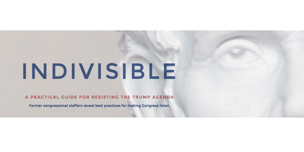 indivisible logo